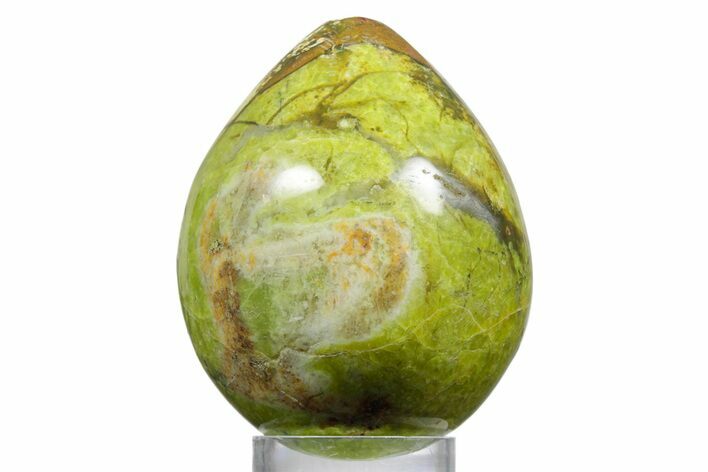 Polished Green Opal Egg - Madagascar #356175